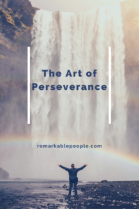 The Art of Perseverance